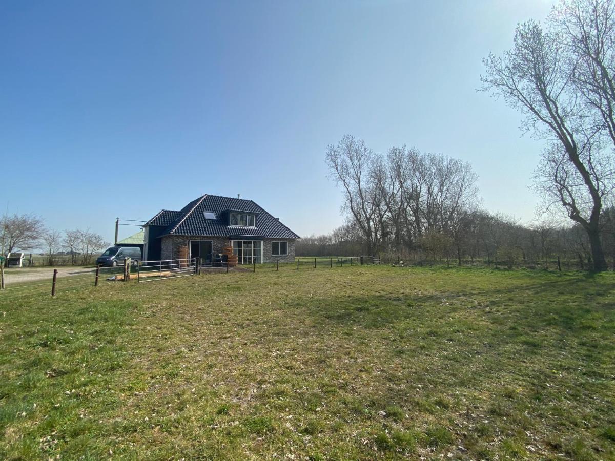 Logies Boszicht Texel Bed & Breakfast De Koog  Ngoại thất bức ảnh